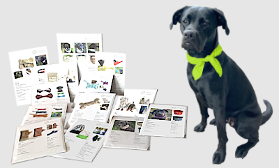 Näh-Sets für Selbermacher